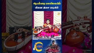 Ayarpadi Maaligayil Veena Cover  Krishna Songs Tamil Devotional  Veenai saindavikarunakaran [upl. by Chenee132]