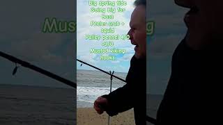 Going Big for a Bass Peeler crab squid pulley pennel youtubeshorts fishing fish nature [upl. by Ackley]