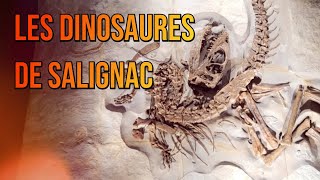 LES DINOSAURES DE SALIGNAC [upl. by Fausta]