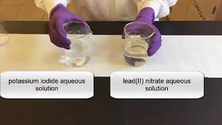 Precipitation Reactions and Solubility Rules [upl. by Niwrad]