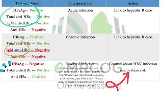 Interpretation of hepatitis B serology markers [upl. by Mar]