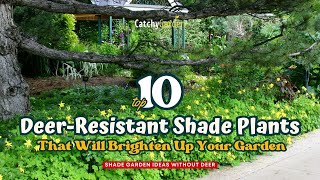 10 Deer Resistant Shade Plants That Will Brighten Up Your Garden 🌷☘️🦌 [upl. by Edgard566]