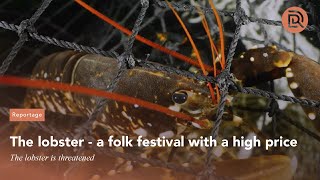 The lobster  a folk festival with a high price [upl. by Ellimak]