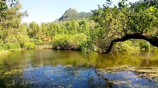 Trek e Itinerari in Sicilia RISERVA NATURALE DEI MONTI CAMPANITO E SAMBUGHETTI Nicosia Sicily [upl. by Nnaasil586]