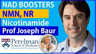 NAD Boosters  NMN NR amp Nicotinamide The Same  Professor Joseph Baur Interview Series Episode3 [upl. by Vivien]