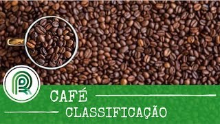 Saiba como é feita a classificação do café [upl. by Ause]