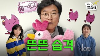 뜬뜬방문은 핑계고  🎥라이브 짧게보기 [upl. by Portwine432]