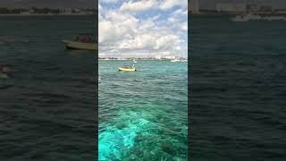 Snorkeling 🤿 snorkeling cancún quintanaroo mexico [upl. by Loris]