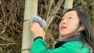 ASMR IN RURAL JAPAN🇯🇵🌿 [upl. by Strickman]