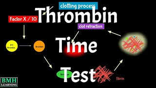 Thrombin Time Test  TT Test  Thrombin Clotting Time Test [upl. by Attenauq977]