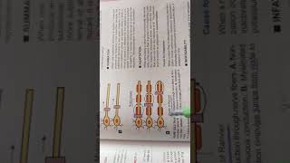 saltatory conduction  cns physiology [upl. by Karina113]