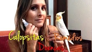 Calopsitas  Doenças e remédios [upl. by Ateval]