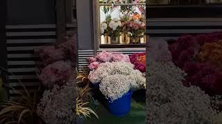 Bloomy Florist [upl. by Yeslaehc]