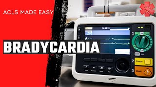 ACLS Bradycardia Algorithm [upl. by Jenei]