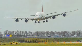 STORM EUNICE  CROSSWIND LANDINGS at Amsterdam Schiphol  AIRBUS A380 B767 GO AROUND  4K [upl. by Miyasawa]