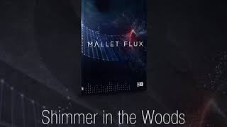 MALLET FLUX  Demo • Shimmer in the Woods [upl. by Kopaz643]