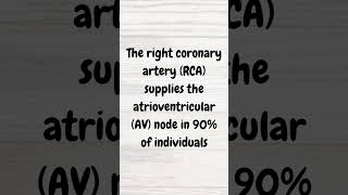 Bradycardia after cardiac arrest  MRCP  shorts bradycardia cardiacarrest coronaryartery [upl. by Daggna]