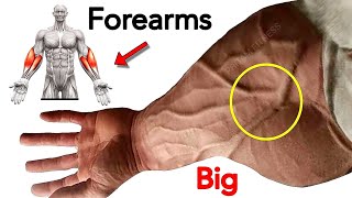 BIG FOREARMS EXERCISES IN 5 MINUTES EACH DAY [upl. by Ahidam]