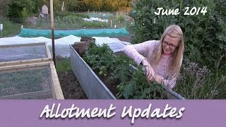 Katies Allotment  June 2014  Allotment Updates [upl. by Edlin]