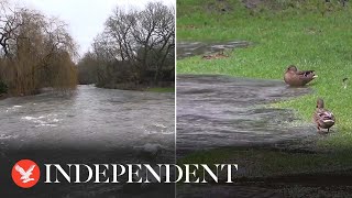 Storm Henk Water surges close to bridge arches in Derbyshire village after torrential rain [upl. by Maggs]