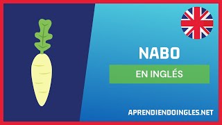 ✅ CÓMO se dice NABO en INGLÉS 2022 🚀 APRENDE A ESCRIBIR TURNIP ✨ PRONUNCIACIÓN NABO EN INGLES 2023 [upl. by Hartmunn]