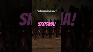 Skyrim has a new skooma man skyrim skooma theelderscrolls videogames [upl. by Cailly717]