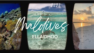 Maldives March 2023 Ellaidhoo by Cinnamon  Best House Reef  Ari Atoll  Travel Video  Maldives [upl. by Guthrie871]