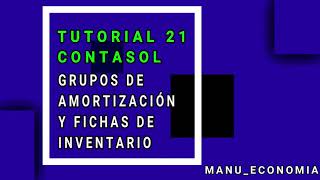 Contasol 21 Crear grupos de amortización y fichas de inventario [upl. by Aicirtac810]