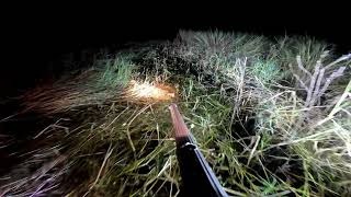 Airboat frog gigging in the marsh [upl. by Lorette]