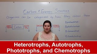 Heterotrophs Autotrophs Phototrophs and Chemotrophs [upl. by Aiel]