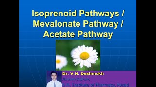 Mevalonate Pathway [upl. by Klos]