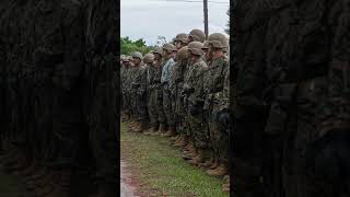 MCRD Parris Island Kilo Company Conducts Rappel Training [upl. by Chevy]