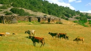 Sivas İmranlı Türkkeşlik KöyüKızılırmak UZUN HAVA [upl. by Aneeled]