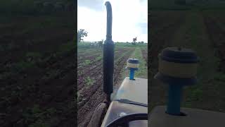 EICHER364 MODEL 2000FARMING CASTOR ytshorts farming youtubeshorts viralvideo villagelife [upl. by Aeslehs]