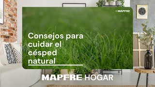 Cuida el césped natural con estos consejos [upl. by Notgnirrab]