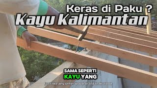 ⭕ Seberapa keras Kayu Kalimantan di Paku 🔴🔴🔴 Rumah murah paling Ramah [upl. by Larret]