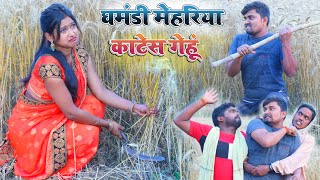 घमंडी मेहरिया काटेस गेहूं umesh nishad comedy [upl. by Aronos]