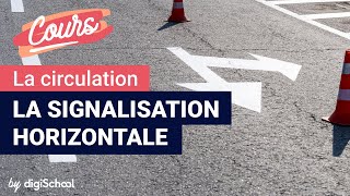 La signalisation horizontale  Code de la route [upl. by Yrellam]