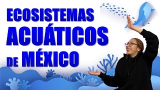 💧 Ecosistemas ACUÁTICOS de México  Tipos Definición y Características [upl. by Hum]