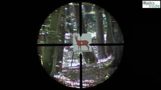 Docter Classic 2510x48 reticle Plex subtensions [upl. by Blackburn]