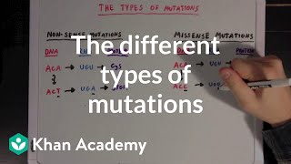 The different types of mutations  Biomolecules  MCAT  Khan Academy [upl. by Aciria]