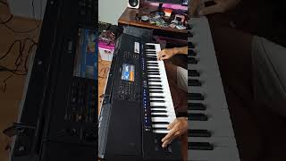 TES YAMAHA PSR SX700  SX900 [upl. by Gnep]