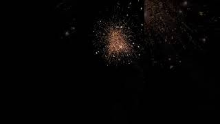 Diwali 2k24 Fireworks display in slowmotion diwali fireworks crackers viralshorts [upl. by Enelrahc233]