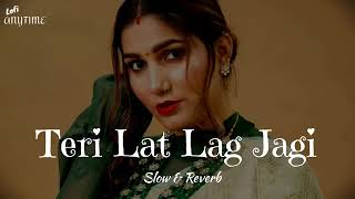 teri lat lag jagi tad paya na kre sapna chodri song slowed amp reverb  SONG 🎵 [upl. by Danyelle]