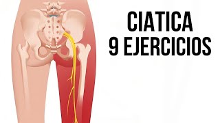 9 EJERCICIOS para aliviar la CIATICA sin importar su origen fisioterapiatualcance [upl. by Innek269]