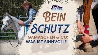 7Pmal BESTER Beinschutz fürs Pferd Boots Gamaschen richtig anlegen  Bernd Hackl Horsemanship [upl. by Nolyat933]