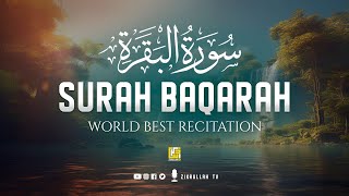 Surah Al Baqarah Full سورة البقره Beautiful Voice Heart Touching Quran Recitation  Zikrullah TV [upl. by Akired]