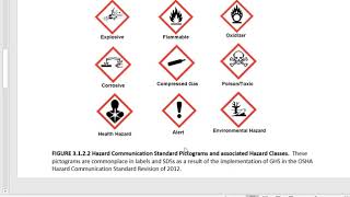 CTC 110 Language More About GHS Labels Pictograms and Terminology Part 3 [upl. by Selinda606]