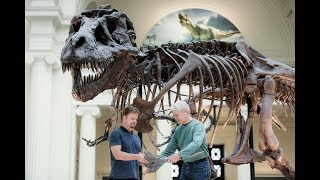 T rex to Titanosaur Big Dinosaur Changes Coming in 2018 [upl. by Najtsirk364]