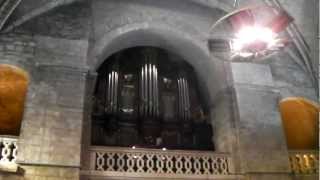 Orgue de léglise SaintJeanBaptiste de Bagnolssur Cèze [upl. by Rawde569]